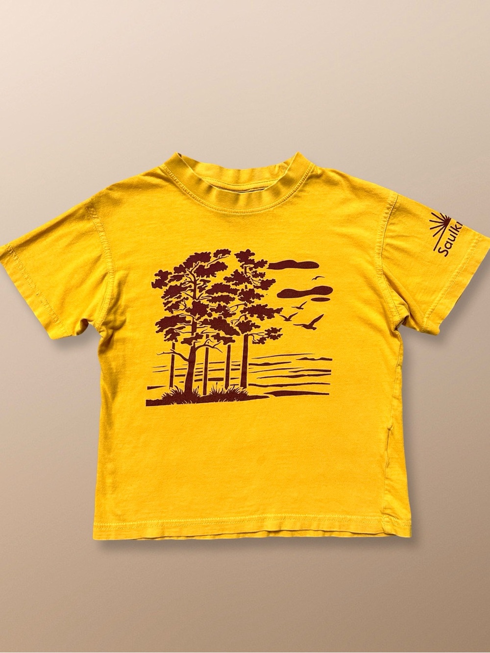 ⭐️ 5 for $25 James & Nicholson Junior Saulkrasti Graphic T-Shirt Size M 122/128